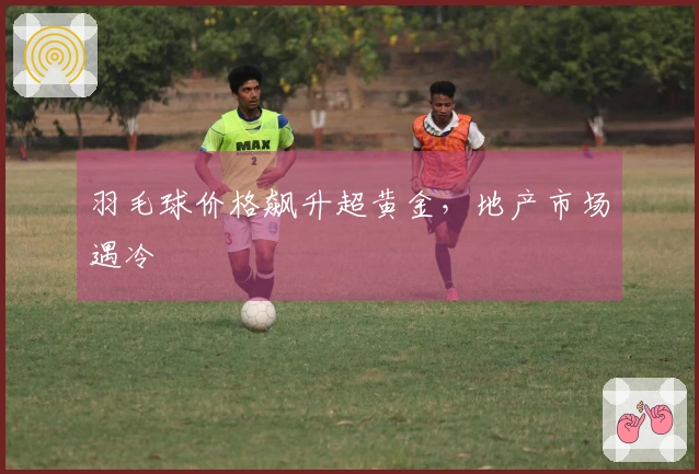 羽毛球价格飙升超黄金，地产市场遇冷