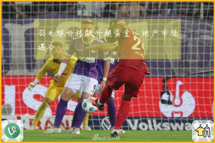 羽毛球价格飙升超黄金，地产市场遇冷
